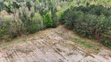 Lake Nacogdoches Ranch - photo 4