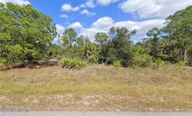 Lehigh Acres Area Lot For Sale in Lehigh Acres Florida