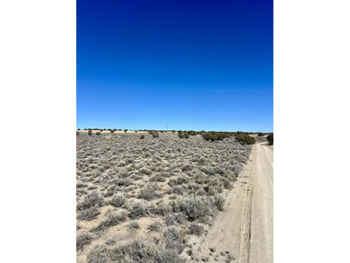 South Fork Reservoir Acreage For Sale in Spring Creek Nevada