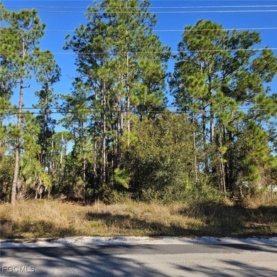 Lehigh Acres Area Lot For Sale in Lehigh Acres Florida