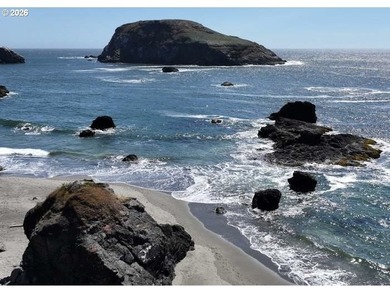 Coastal Luxury with Deeded Beach Access. Experience exceptional - photo 3