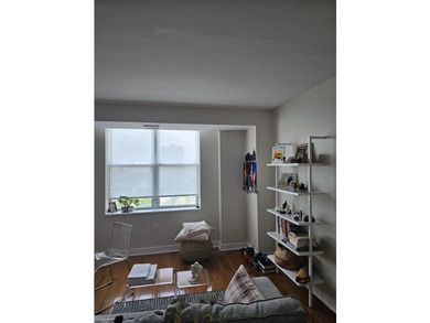 Beautiful open modern condo in Harbortown with large windows - photo 27