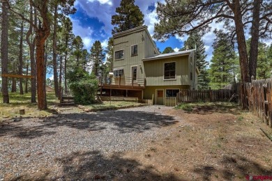 Lake Pagosa Home For Sale in Pagosa Springs Colorado
