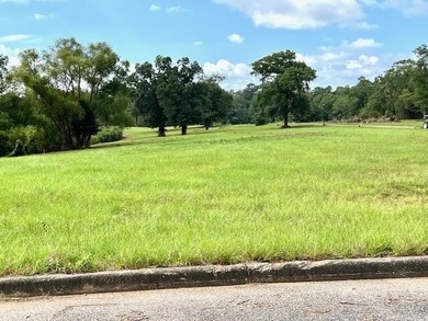 New Home, Blt 2026, not in flood zone! SELLER JUST REDUCED PRICE - photo 5