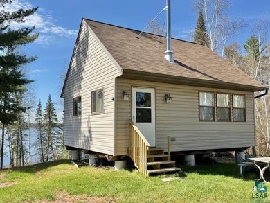 Rare Find! Cabin on Private Land on Whiteface Reservoir! Escape - photo 2
