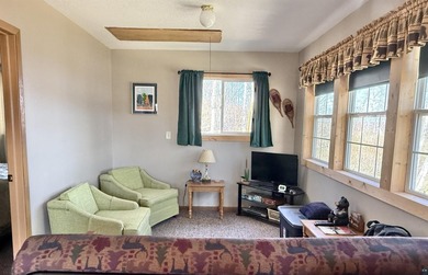 Rare Find! Cabin on Private Land on Whiteface Reservoir! Escape - photo 7