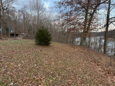 Lakefront Lot - photo 5
