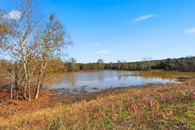 Former Noelling Hills Horse Ranch with just under 275 acres of - photo 10