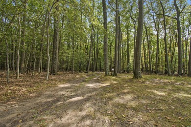 Rare Lake Michigan Retreat on 11 Wooded Acres with 300 Feet of - photo 26