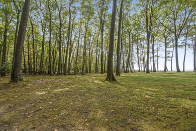 Rare Lake Michigan Retreat on 11 Wooded Acres with 300 Feet of - photo 27