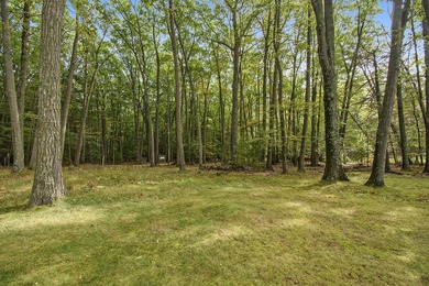 Rare Lake Michigan Retreat on 11 Wooded Acres with 300 Feet of - photo 28