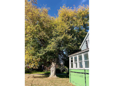 Opportunity knocks at 74 Cook Street! This three-bedroom home - photo 32