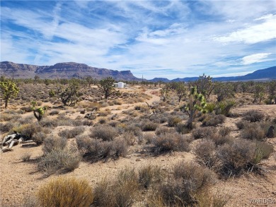 Lake Mead Acreage For Sale in Meadview Arizona