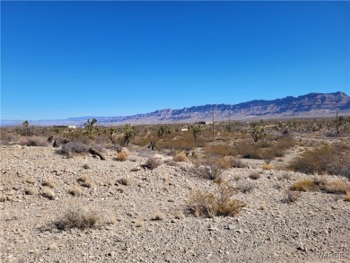 Lake Mead Commercial For Sale in Meadview Arizona