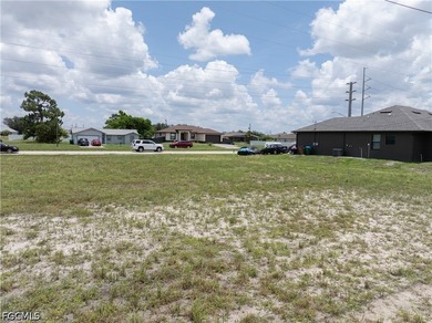 Build your Florida dream home on this oversized residential lot - photo 8