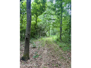 Welcome to your own private recreational retreat on this +/- 24 - photo 11