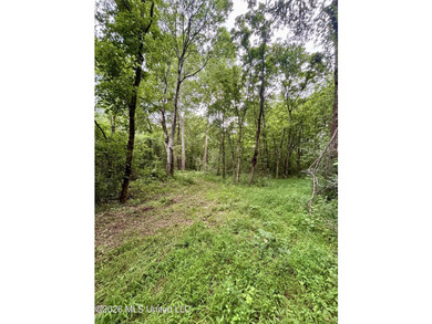 Welcome to your own private recreational retreat on this +/- 24 - photo 12