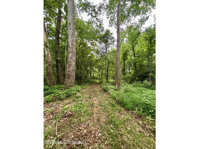 Welcome to your own private recreational retreat on this +/- 24 - photo 13
