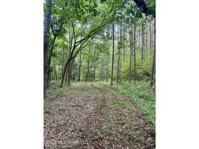 Welcome to your own private recreational retreat on this +/- 24 - photo 15