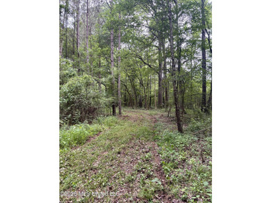 Welcome to your own private recreational retreat on this +/- 24 - photo 18