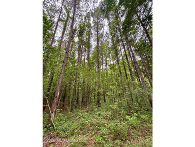 Welcome to your own private recreational retreat on this +/- 24 - photo 21