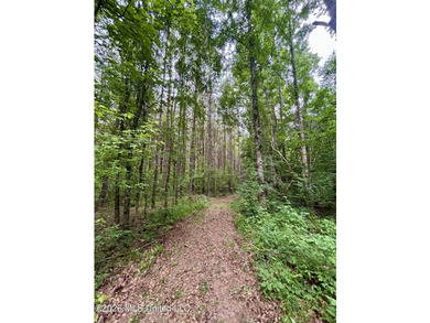 Welcome to your own private recreational retreat on this +/- 24 - photo 22