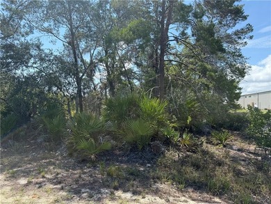 B3 vacant lot for sale about one mile from downtown Lake Placid - photo 3