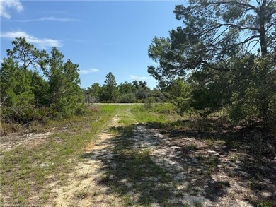 B3 vacant lot for sale about one mile from downtown Lake Placid - photo 4