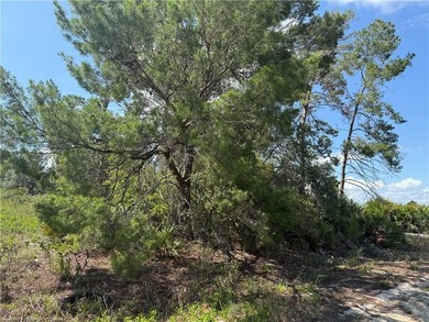 B3 vacant lot for sale about one mile from downtown Lake Placid - photo 5