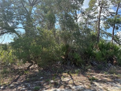 B3 vacant lot for sale about one mile from downtown Lake Placid - photo 6
