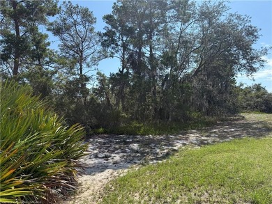 B3 vacant lot for sale about one mile from downtown Lake Placid - photo 7