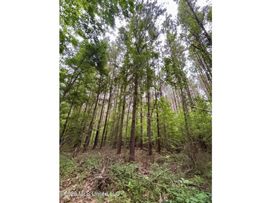 Welcome to your own private recreational retreat on this +/- 24 - photo 31