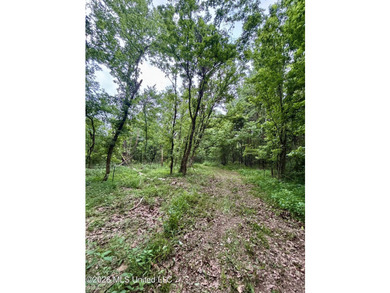 Welcome to your own private recreational retreat on this +/- 24 - photo 33