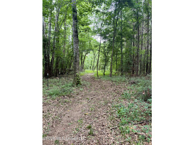 Welcome to your own private recreational retreat on this +/- 24 - photo 36