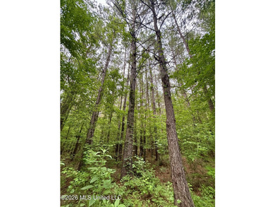 Welcome to your own private recreational retreat on this +/- 24 - photo 41