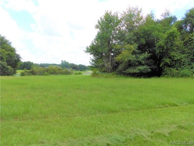 (private lake, pond, creek) Lot For Sale in Inverness Florida