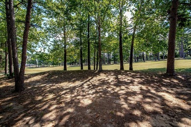 Welcome to 315 Mountain Ranch Drive - a rare opportunity to own - photo 42