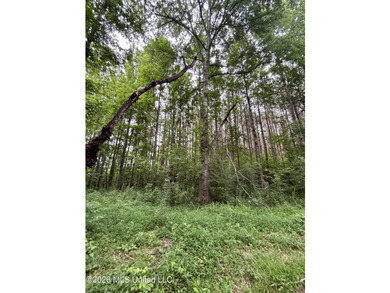 Welcome to your own private recreational retreat on this +/- 24 - photo 43