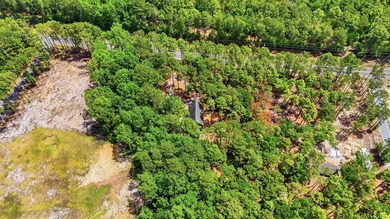 Tucked beneath a canopy of mature trees just off South Island - photo 45