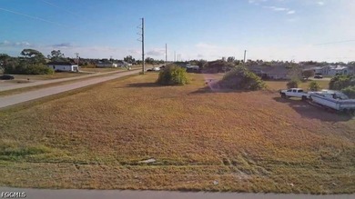 This lot is an excellent investment for you, located in a - photo 3