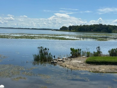 Lake Home For Sale in Leesburg, Florida