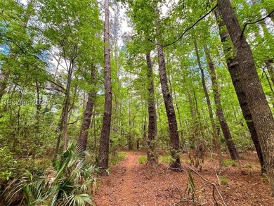 This unique corner lot situated on the desirable north end and - photo 12