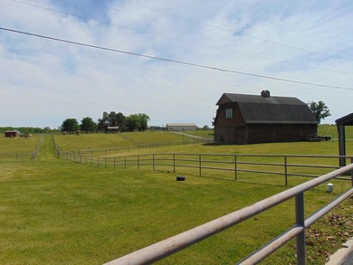 man made lake east of stables, indoor riding arena, large horse - photo 14