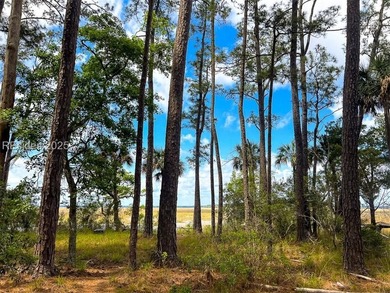 This unique corner lot situated on the desirable north end and - photo 15