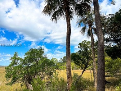 This unique corner lot situated on the desirable north end and - photo 17
