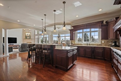 THE ULTIMATE DREAM HOME IN THE DESIRABLE PRAIRIE LAKES - photo 29