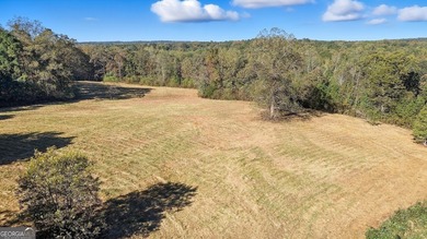 Lake Acreage For Sale in Carrollton, Georgia