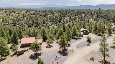 (private lake, pond, creek) Home For Sale in Pagosa Springs Colorado