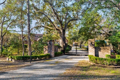 Back on Market due to no fault of sellers or property. Previous - photo 51