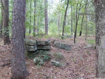 Greers Ferry Lake Acreage For Sale in Higden Arkansas